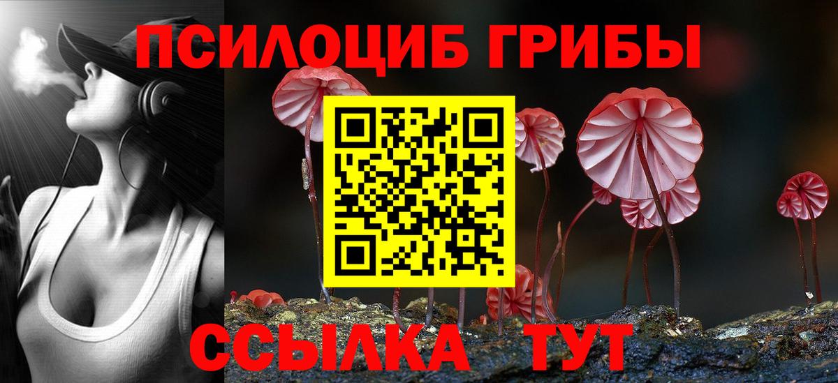 Псилоцибиновые грибы мицелий  Вход с VPN  Псилоцибиновые грибы MAGIC MUSHROOMS  Кызыл 