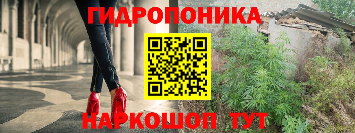 Бошки марихуана OG Kush Кызыл